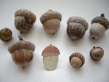 Load image into Gallery viewer, Acorn Pin Brooch, Woodland Fall Accessory, Hat, Shawl Pin.