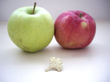Load image into Gallery viewer, Ginkgo, Leaf Brooch Pin, Hat, Shawl, Sweater Pin, Woodland Accessory.