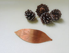 Load image into Gallery viewer, leaf barrette