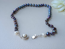 Load image into Gallery viewer, Peacock Pearl Strand Necklace